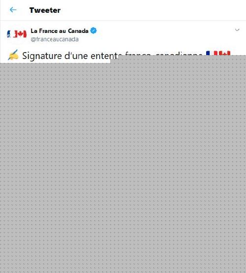 Twit La France au Canada
