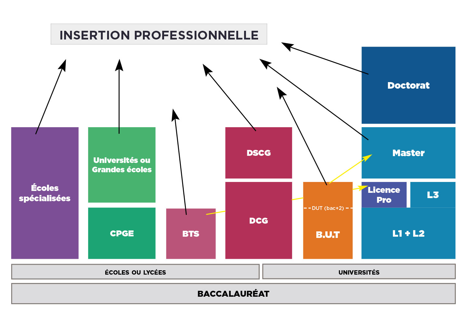 Schma des tudes aprs le Bac